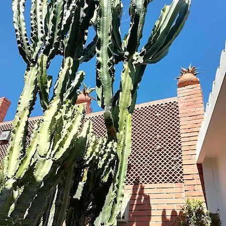 Hébergement de vacances Villino Elda Diano Marina